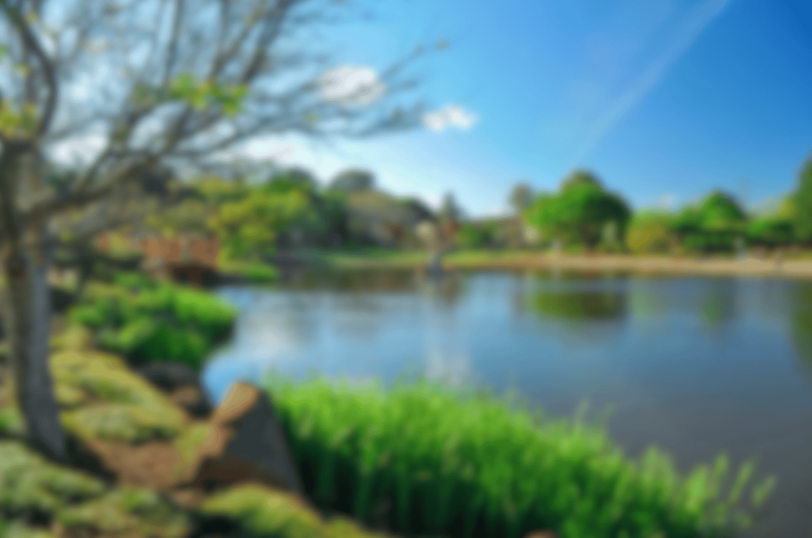 Supported Independent Living in Toowoomba, QLD in Toowoomba