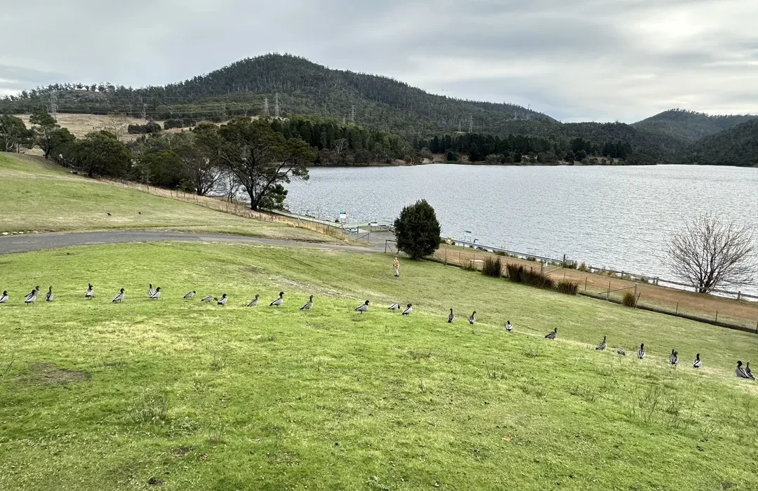 Your Dream Accessible Home Awaits in Beautiful Tasmania! — Home image 11