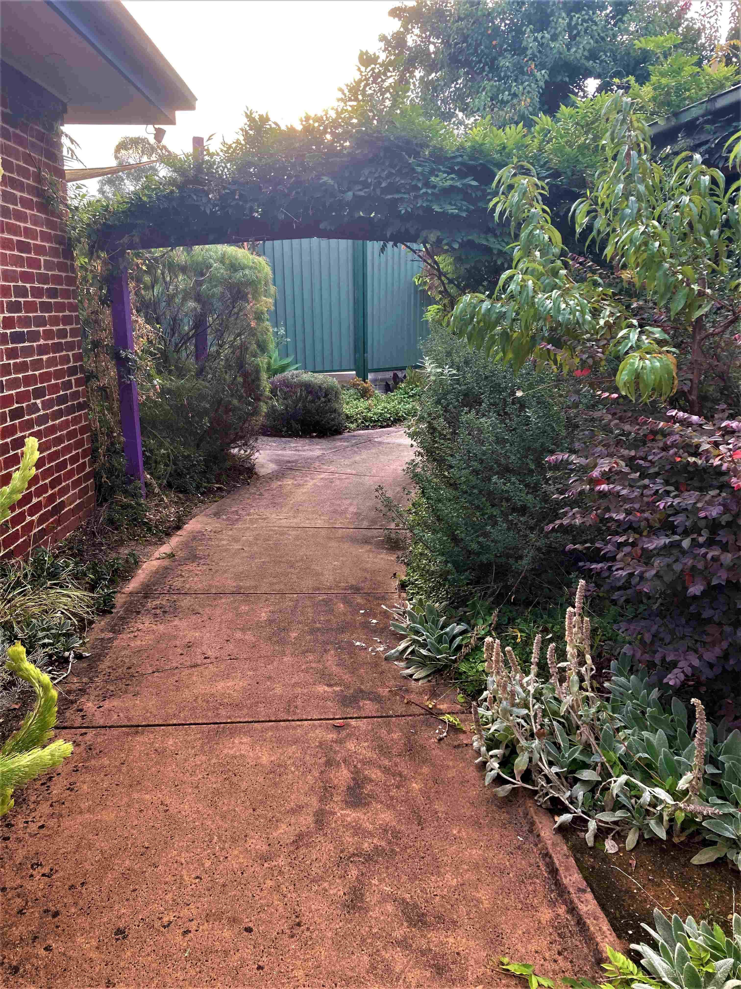 Vacancy in a specialist neurological multidisciplinary care home- Burwood East — Home image 4