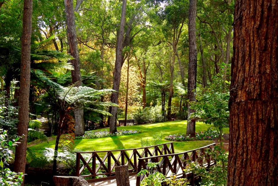 Nature, Space & Independence – Discover Life in Hilbert — Home image 2