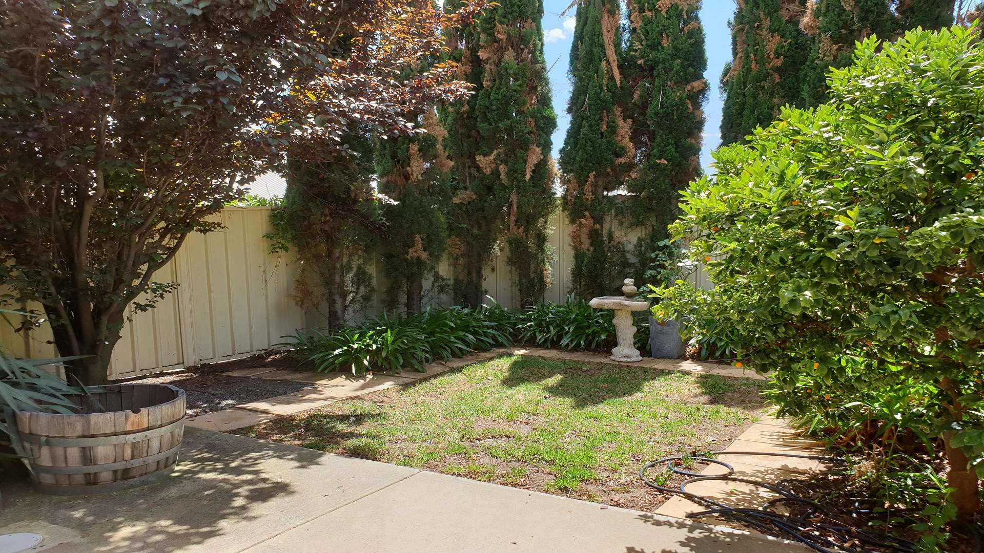 SEACOMBE GARDENS - 2 bedrooms AVAILABLE NOW! Share Home (High Physical Support) — Home image 5