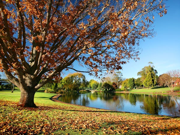 Private, Peaceful and Purpose-Built: Live Well in Harristown — Home image 30
