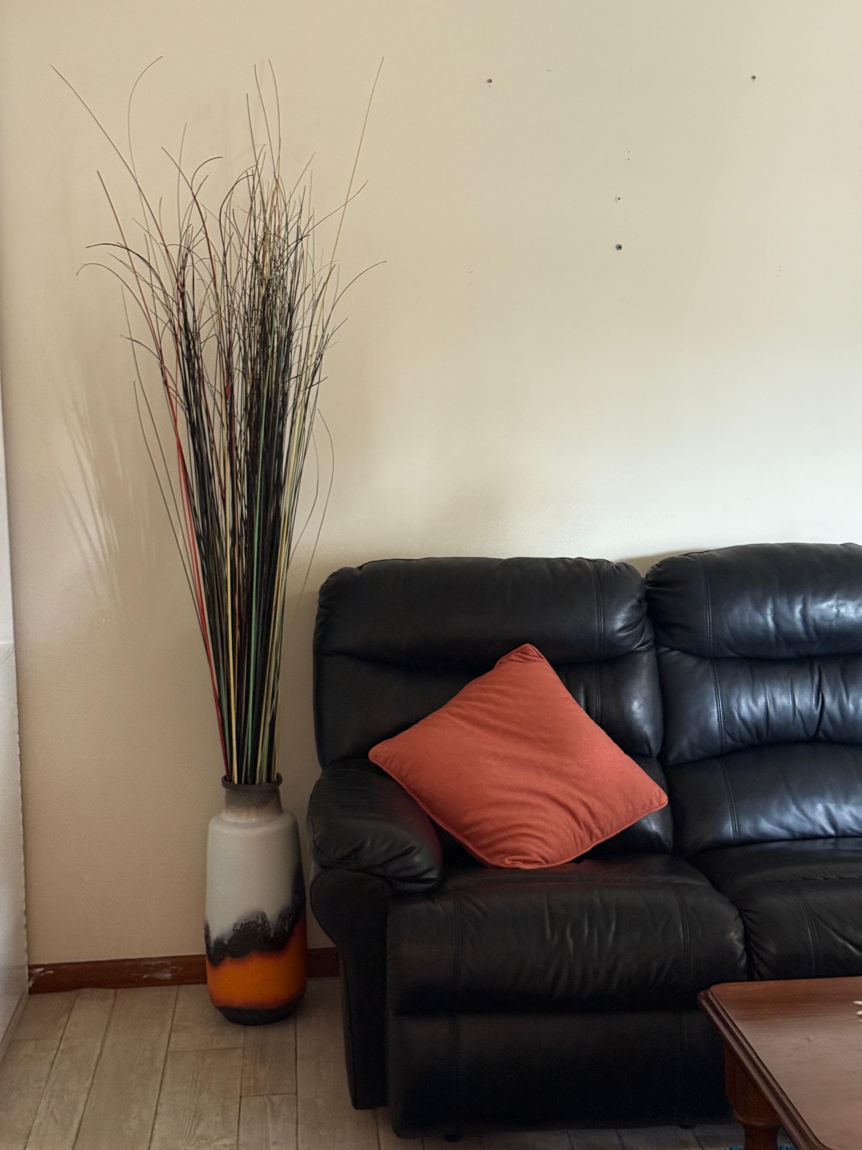 Wandora Cresent — Home image 4