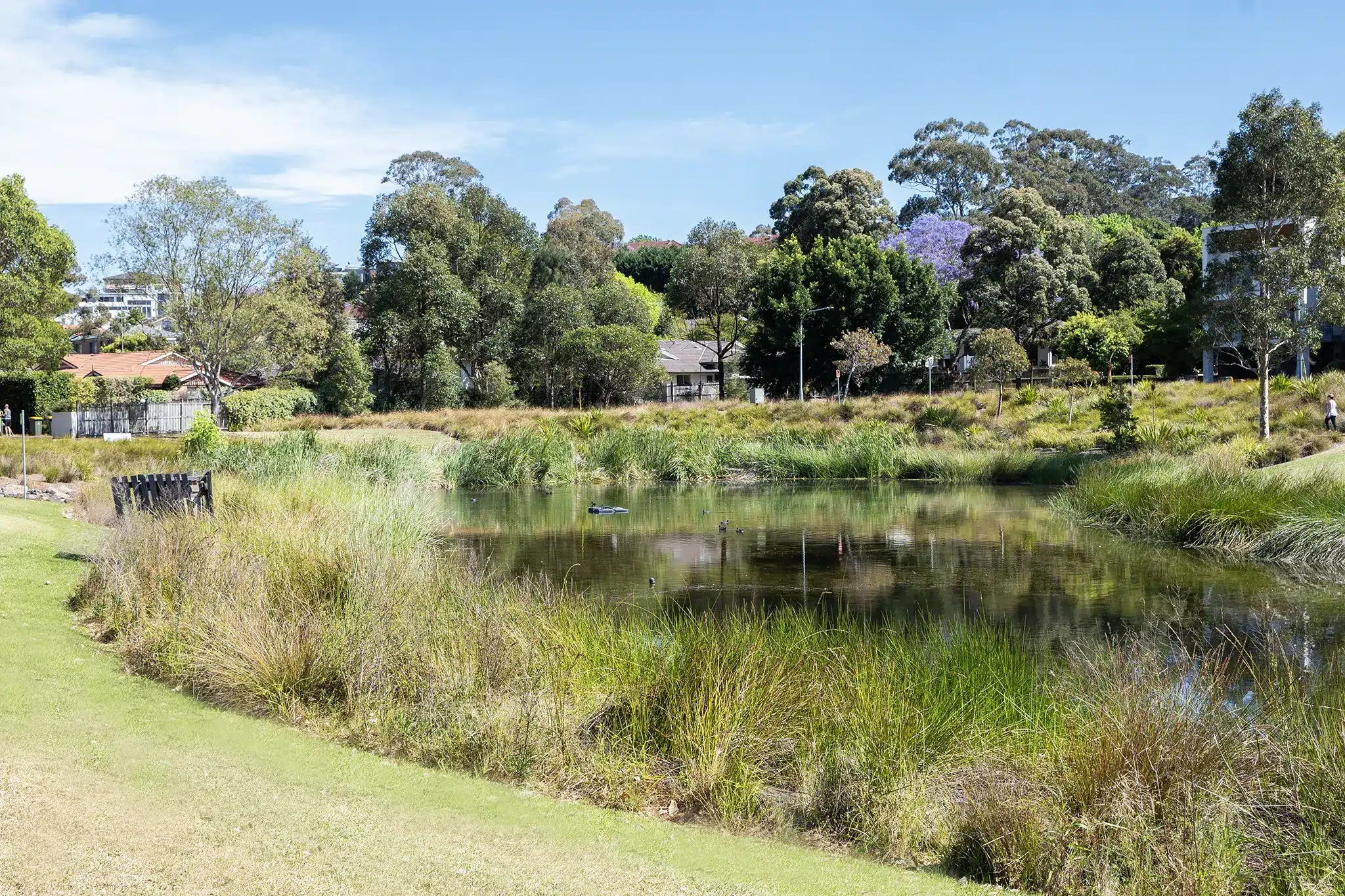 Purpose-Built Welcoming Home in Ryde — Home image 11