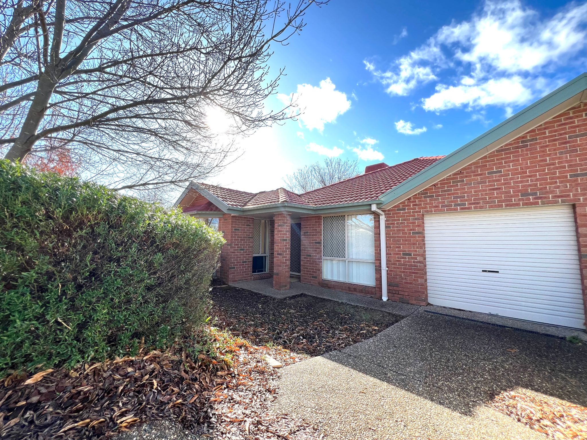 Warm, Modern and Cozy Danny Met Sally SIL Home Amaroo, ACT in Amaroo