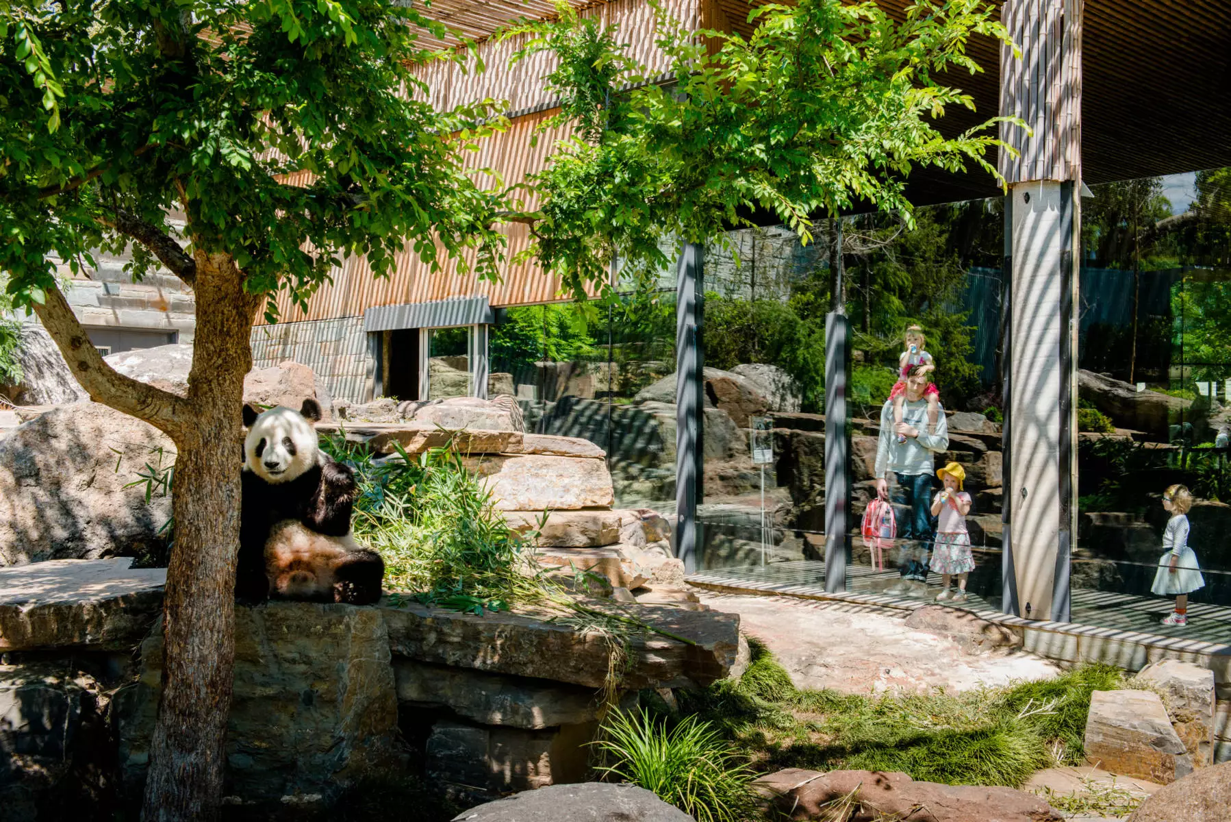 Feel at Home in Davoren Park – Built for Independence, Surrounded by Community — Home image 12