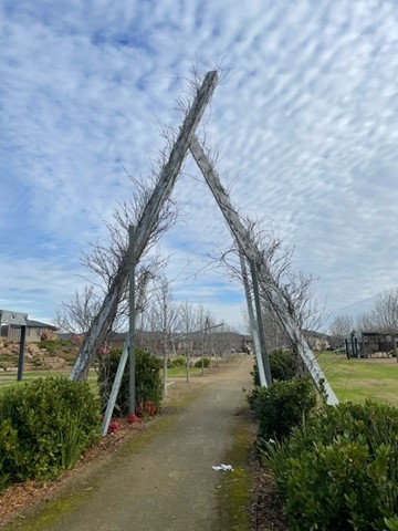 CURZON HPS & BARIATRIC - Clyde North, Victoria — Home image 9