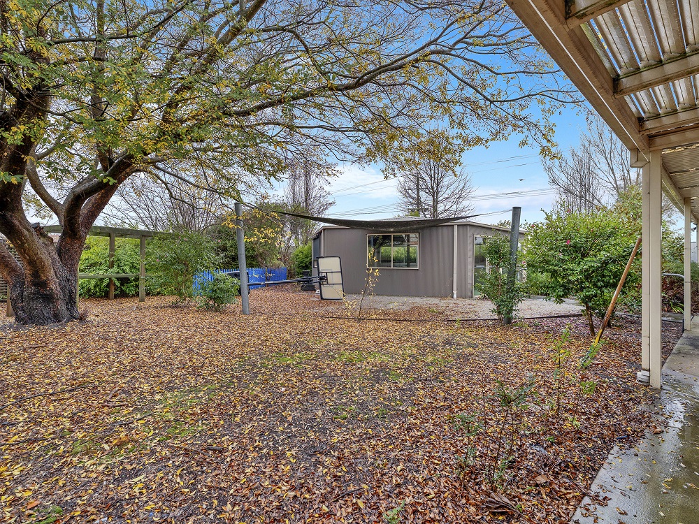 Morwell: Robust house — Home image 10