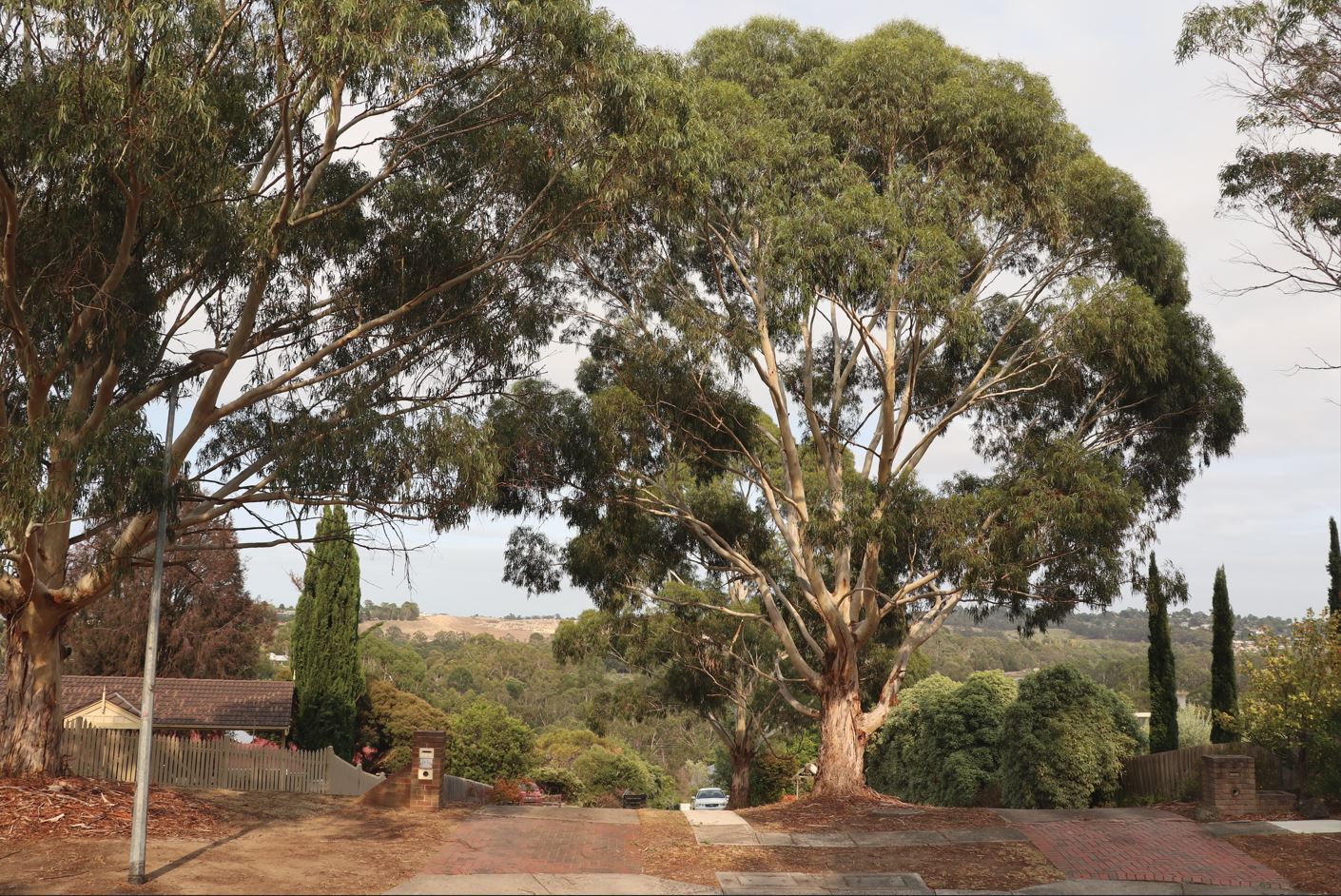 Shared supported living in beautiful Lilydale home — Home image 6