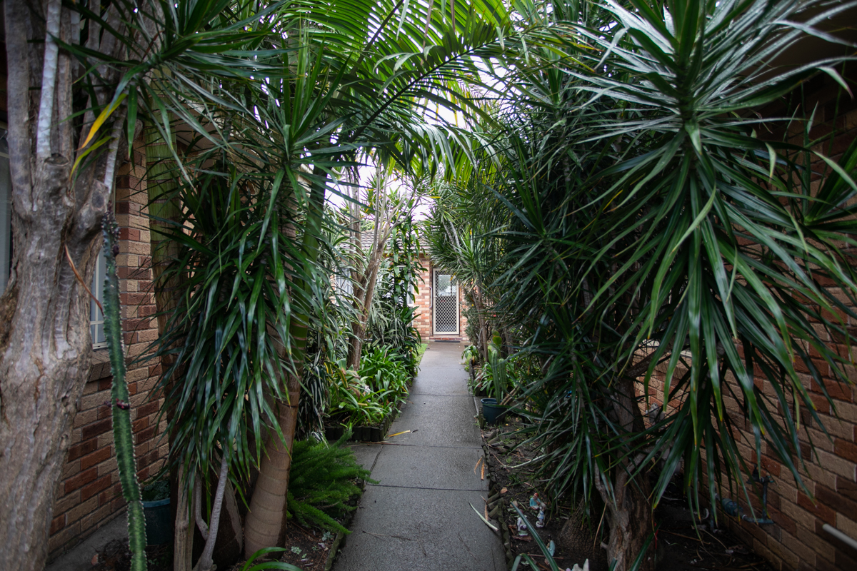 Broadmeadow, Newcastle — Home image 15