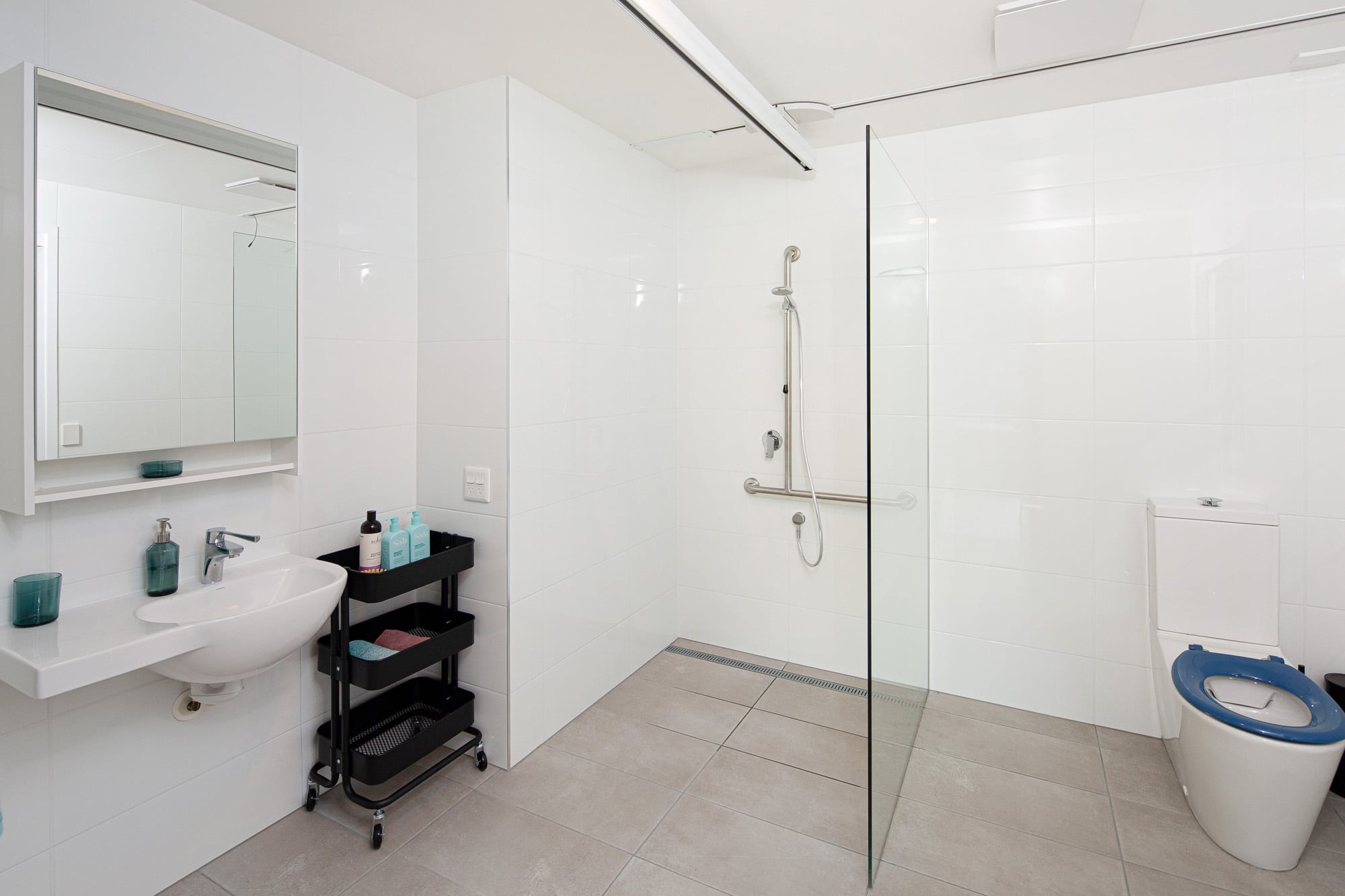 One-Resident High Physical Support Apartment — Home image 6