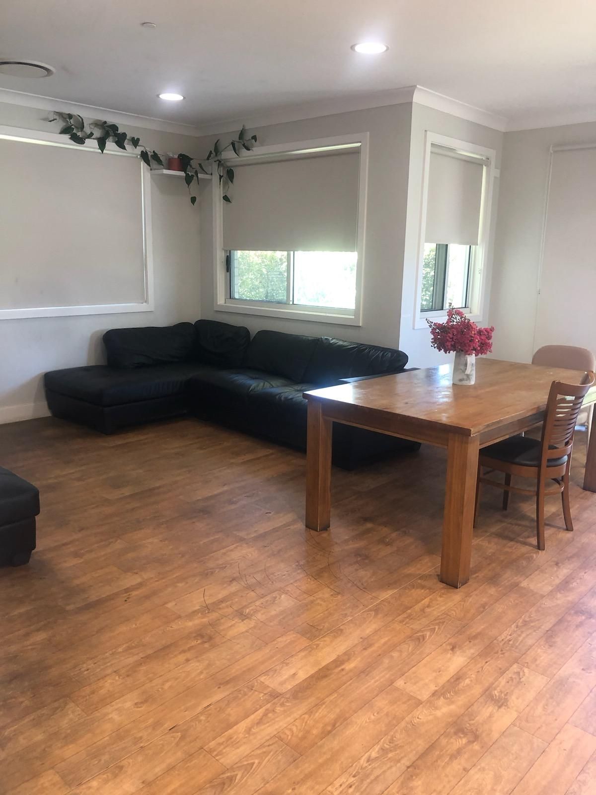Established Home in Cromer — Home image 3