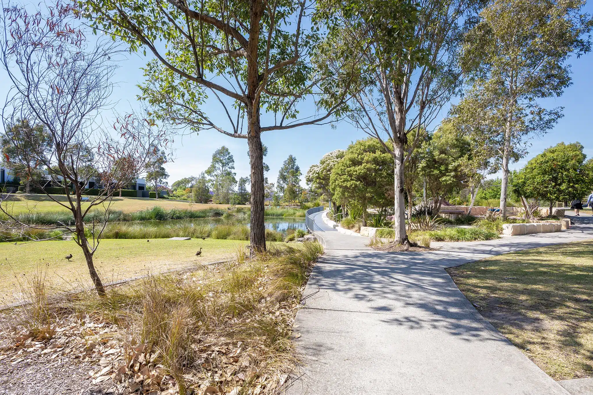Safe & Friendly Shared Home in Ryde — Home image 6