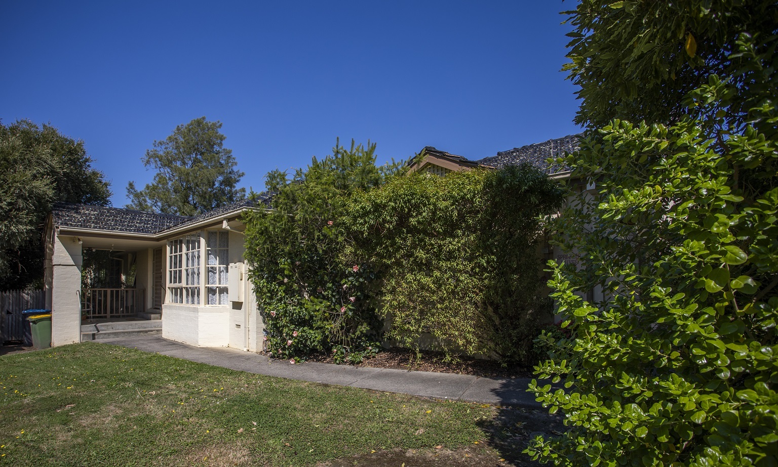 Living the life in leafy Boronia! in Boronia