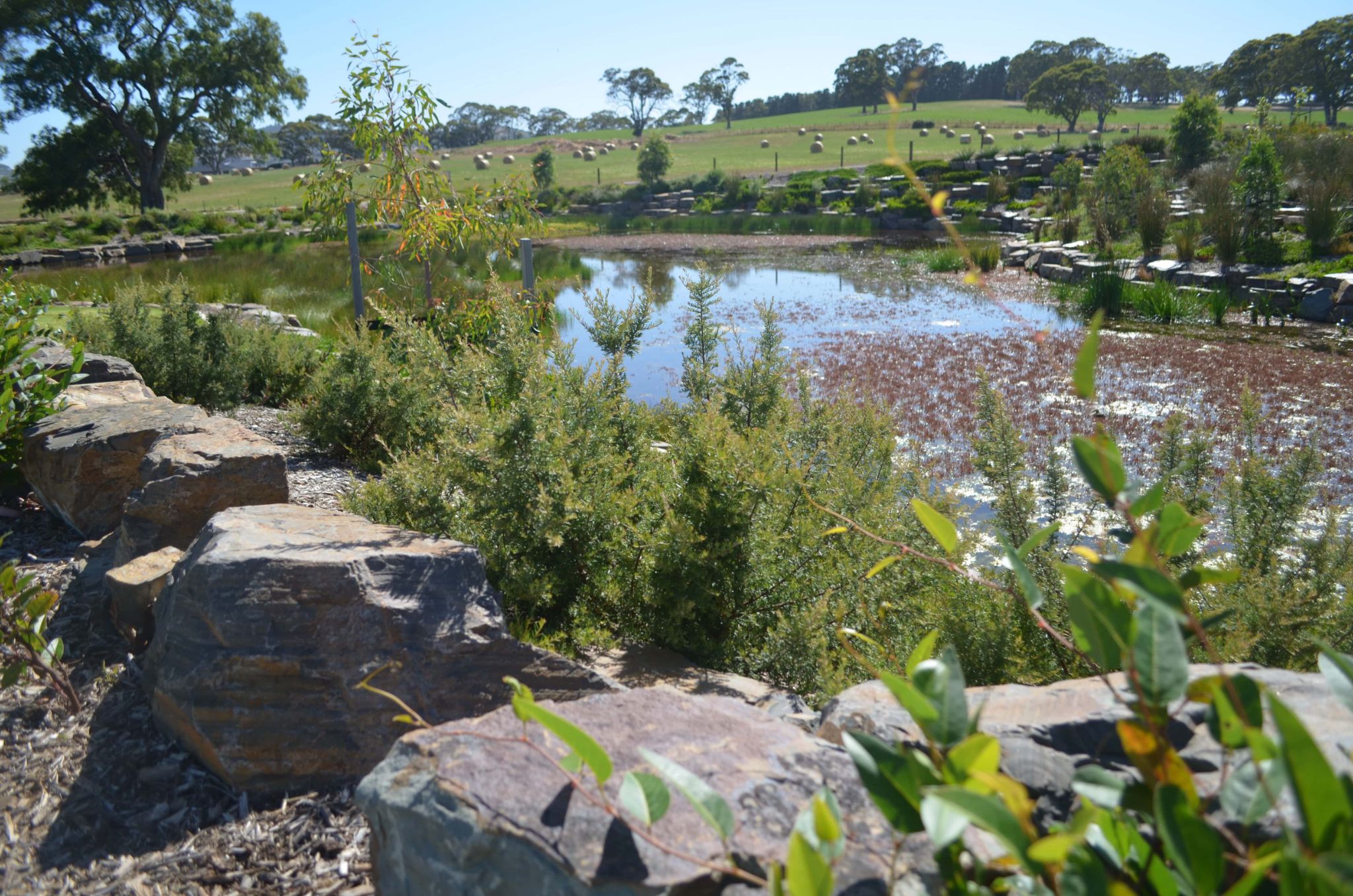 Sanctuary in the Adelaide Hills 3-1 SDA in Mount Barker