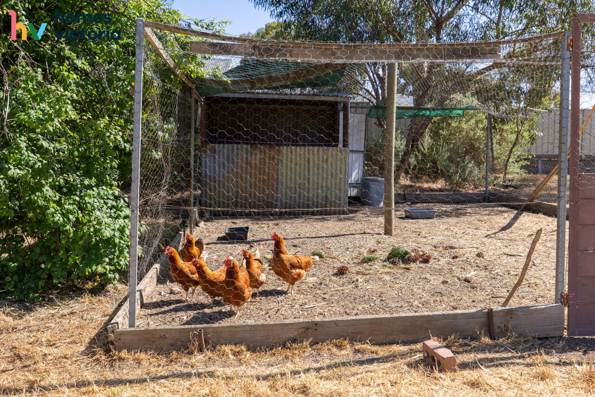 Serene living in sunny Stawell — Home image 13