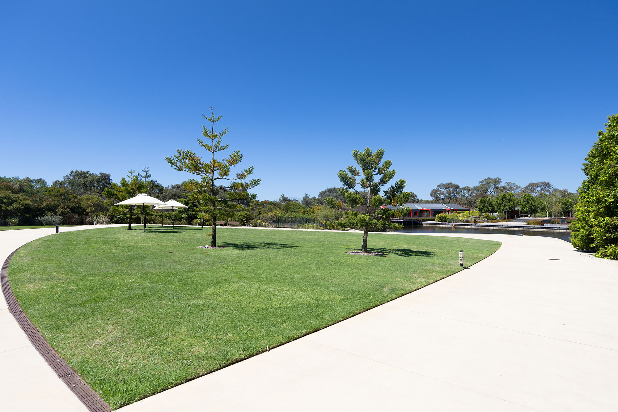 Cranbourne - Brand New 3 Bedroom House. SDA, SIL & High Physical Support Home! — Home image 10