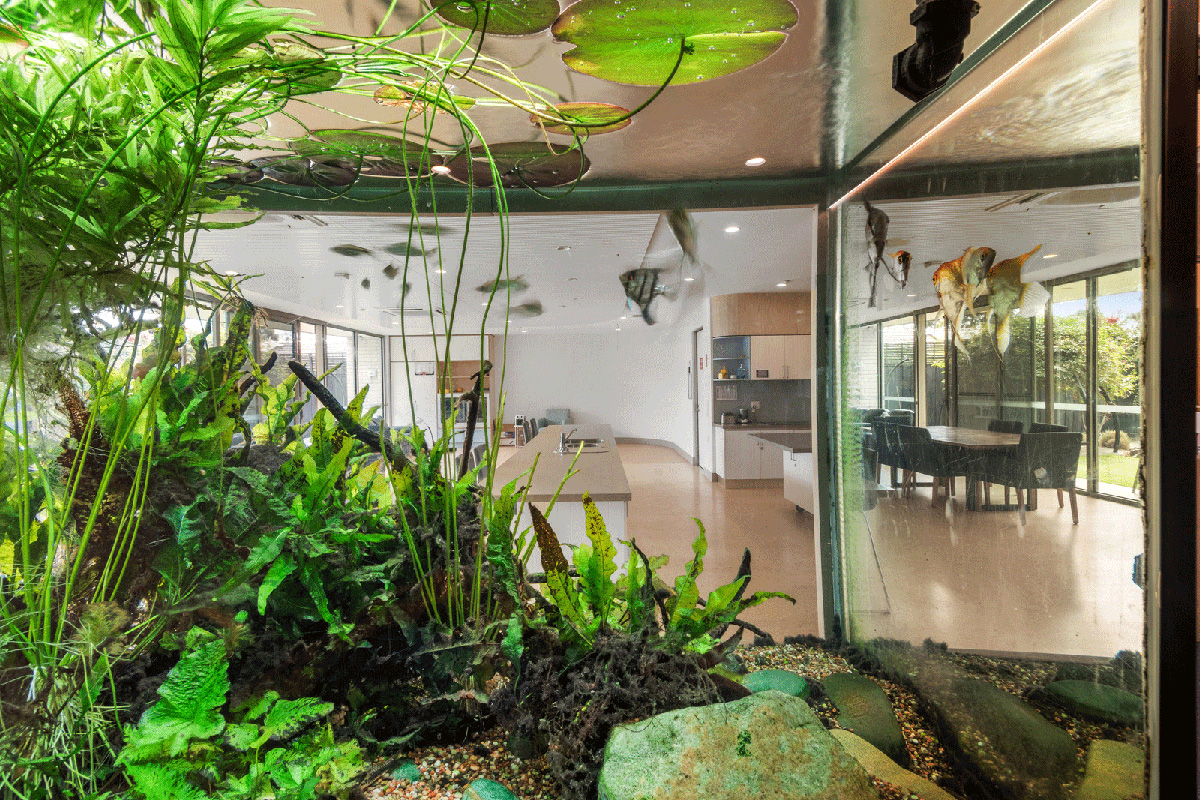 Beautiful, architecturally designed home built for fun in Ivanhoe — Home image 7