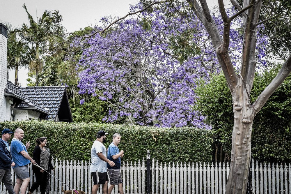 Accessible living in the heart of Oatley — Home image 3