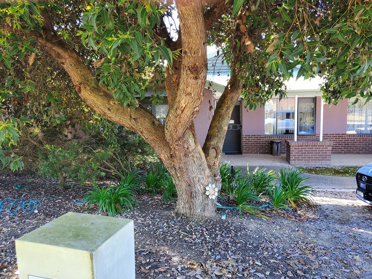 2 bedrooms available in Wodonga home in West Wodonga