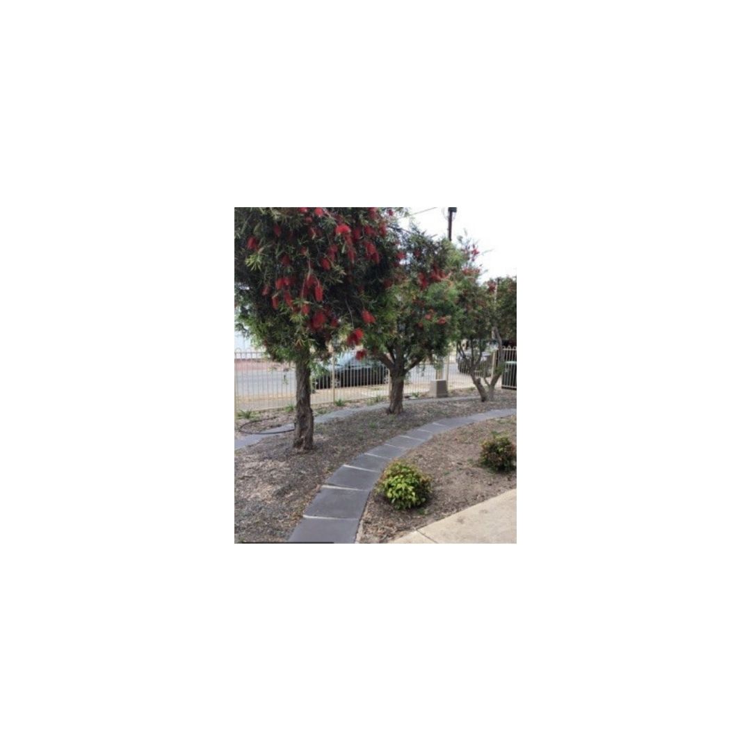 Park Holme - 1 bedroom - Shared home - High Physical Support — Home image 2