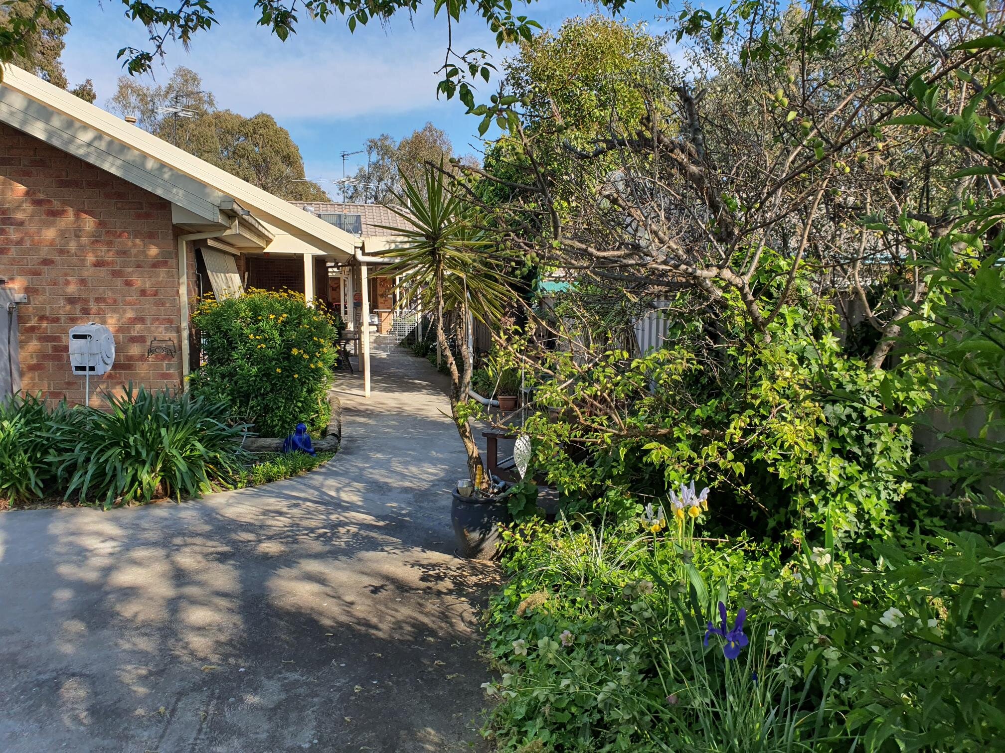 Wangaratta — Home image 2