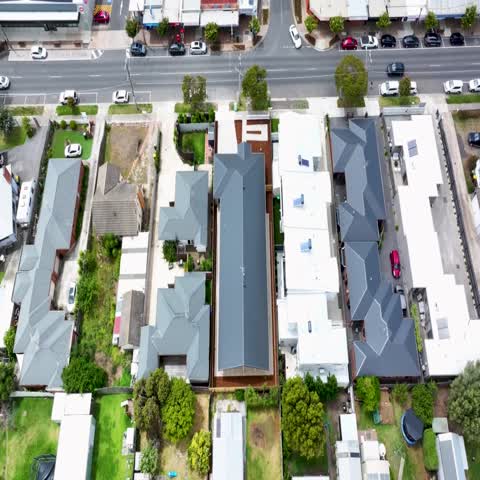 Vines Road, Hamlyn Heights — Home image 5