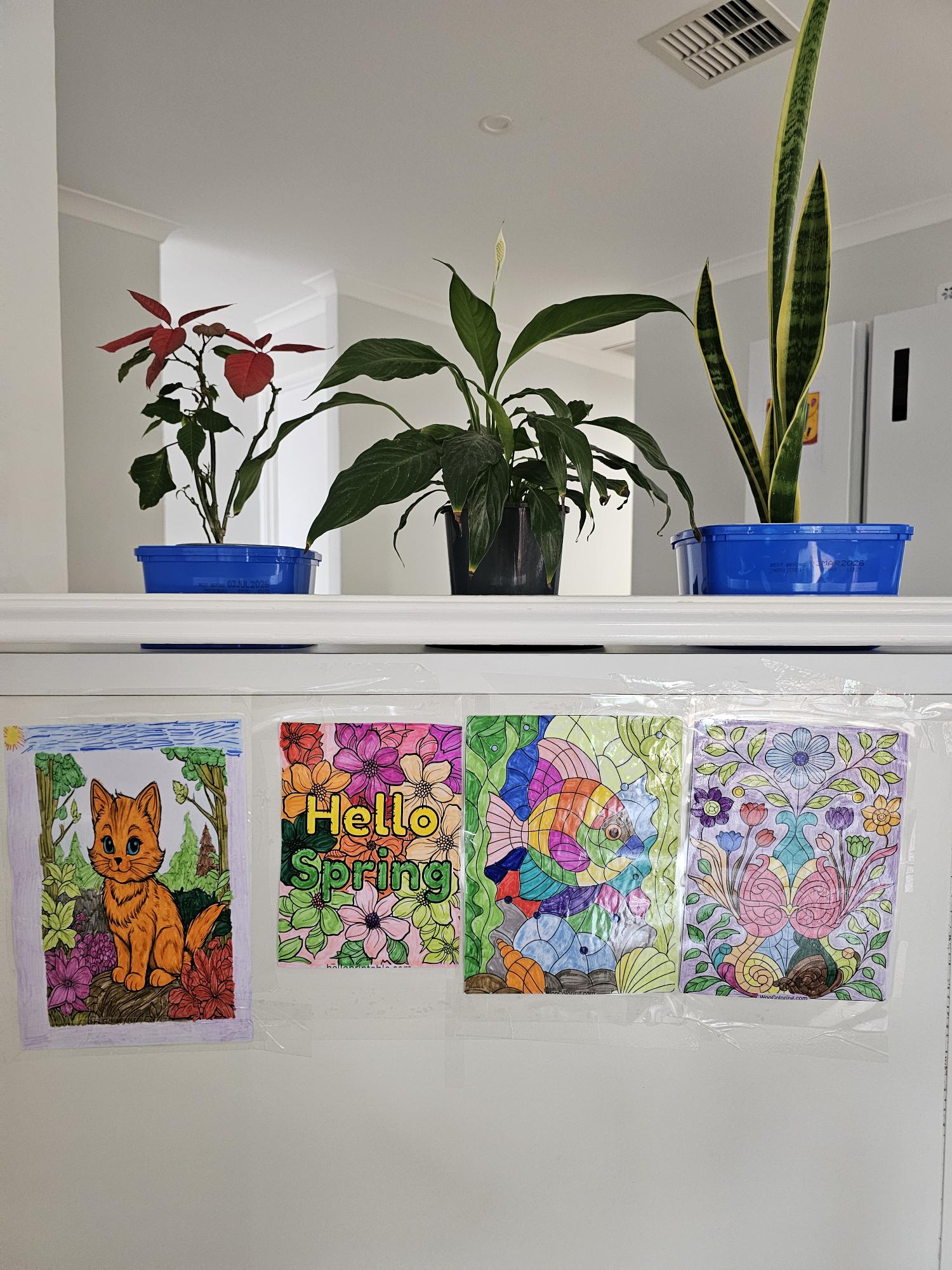 Room for Friendship, Comfort & a Great Cuppa - lovely Kiara home in Kiara