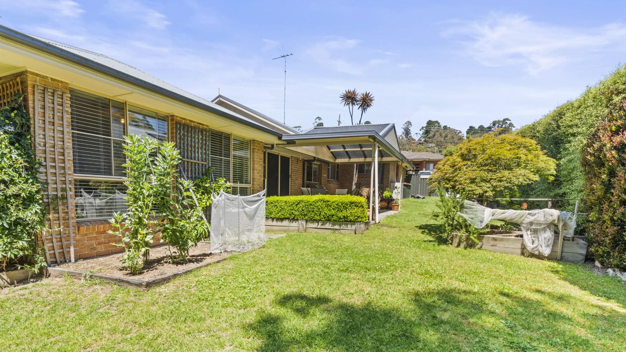 A lovely modern home in Hazelbrook, BLUE MOUNTAINS in Hazelbrook