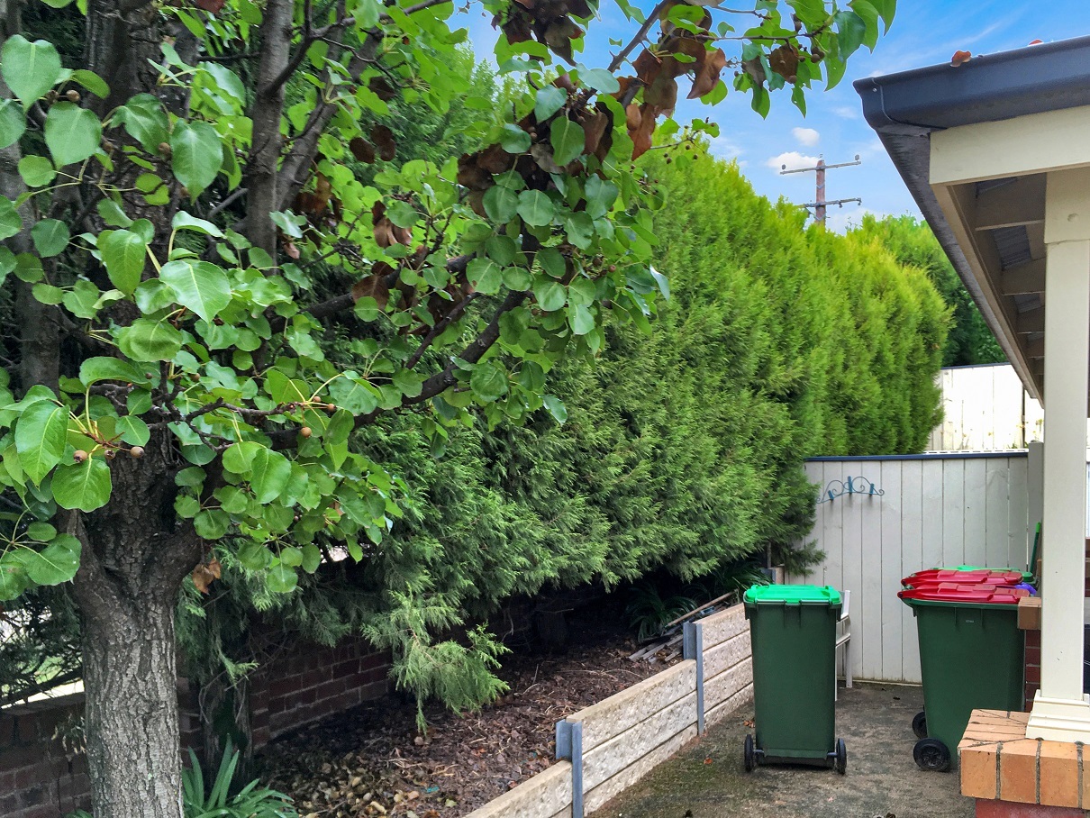 Supported Independent Living in Beechworth — Home image 6