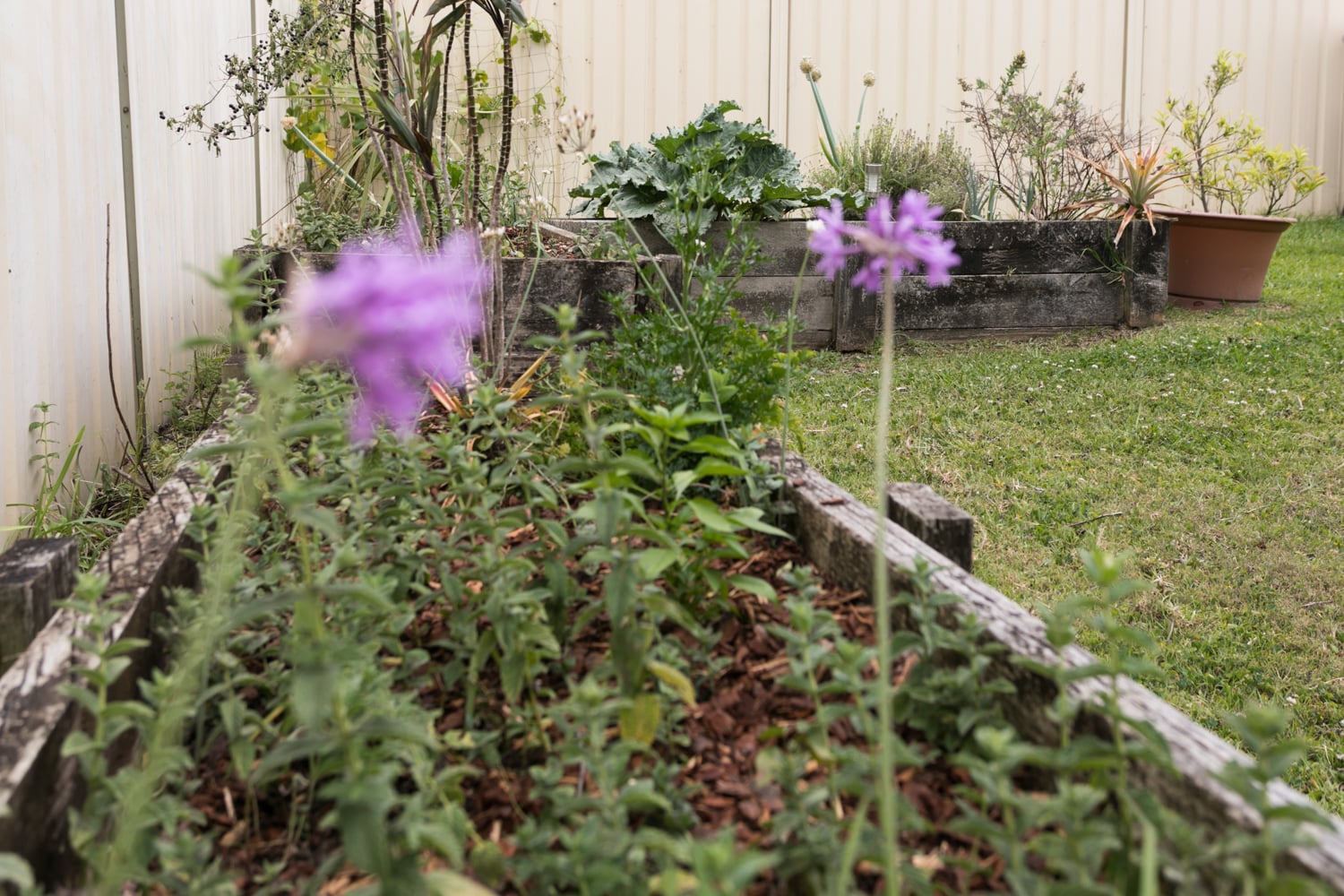 Kanwal – Walker (House 2) — Home image 12