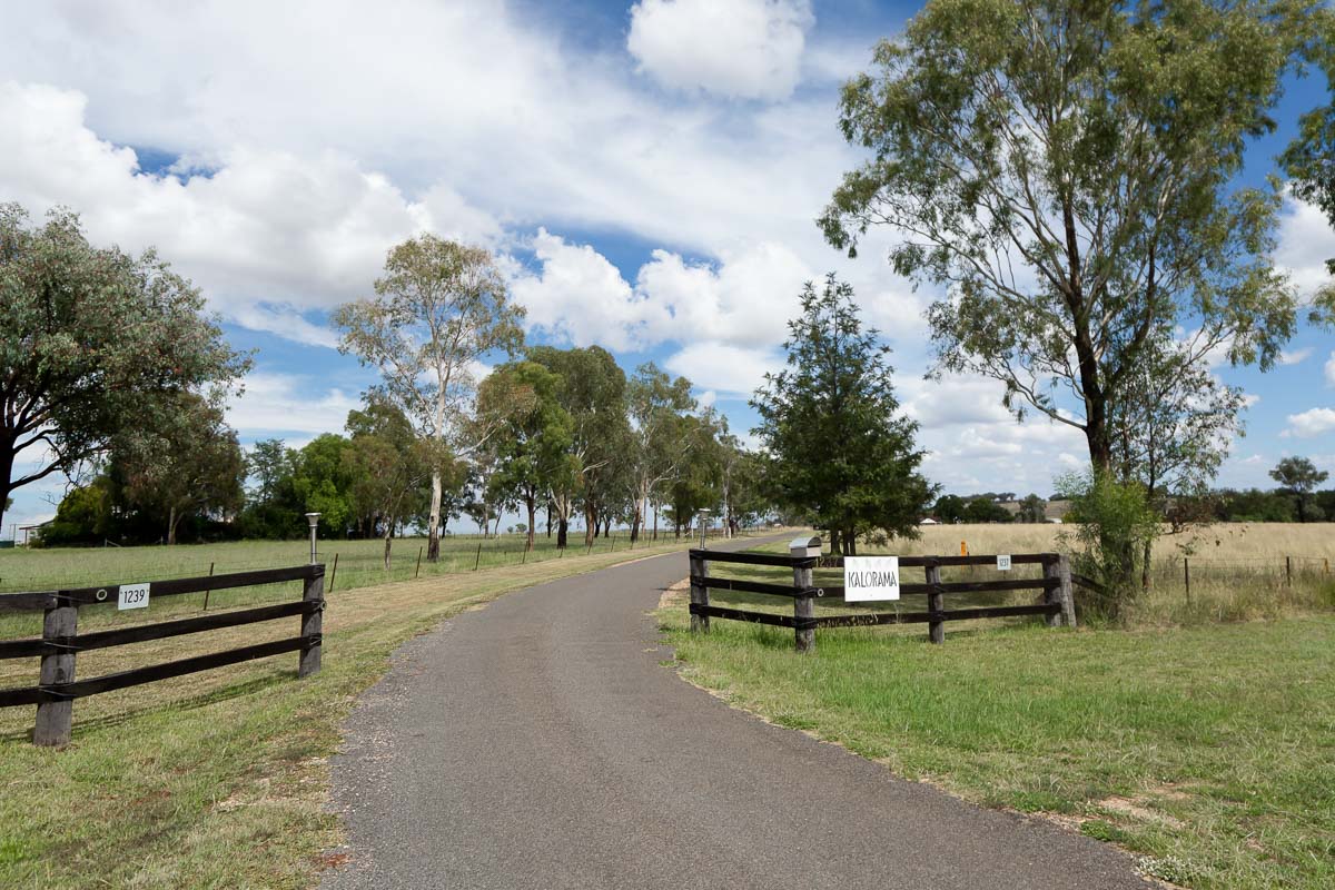 Enjoy the quiet country home, set on 17 acres of land — Home image 12