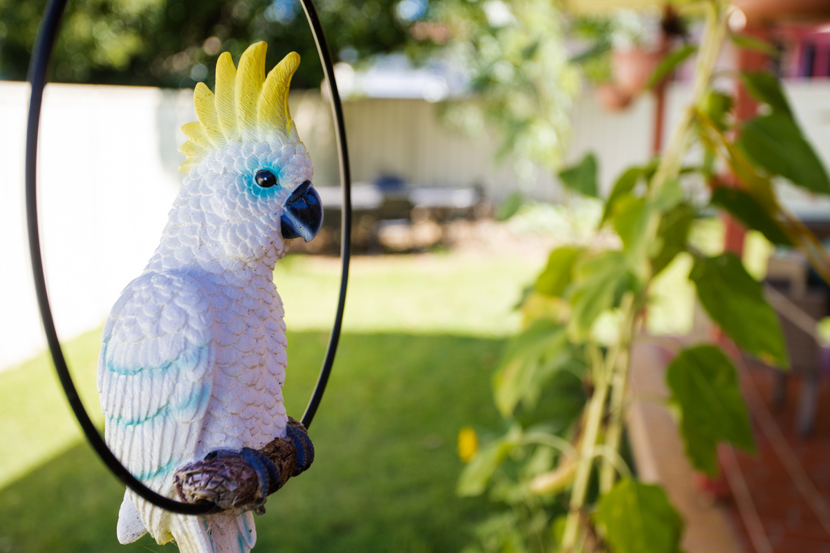 Waratah, Newcastle — Home image 9