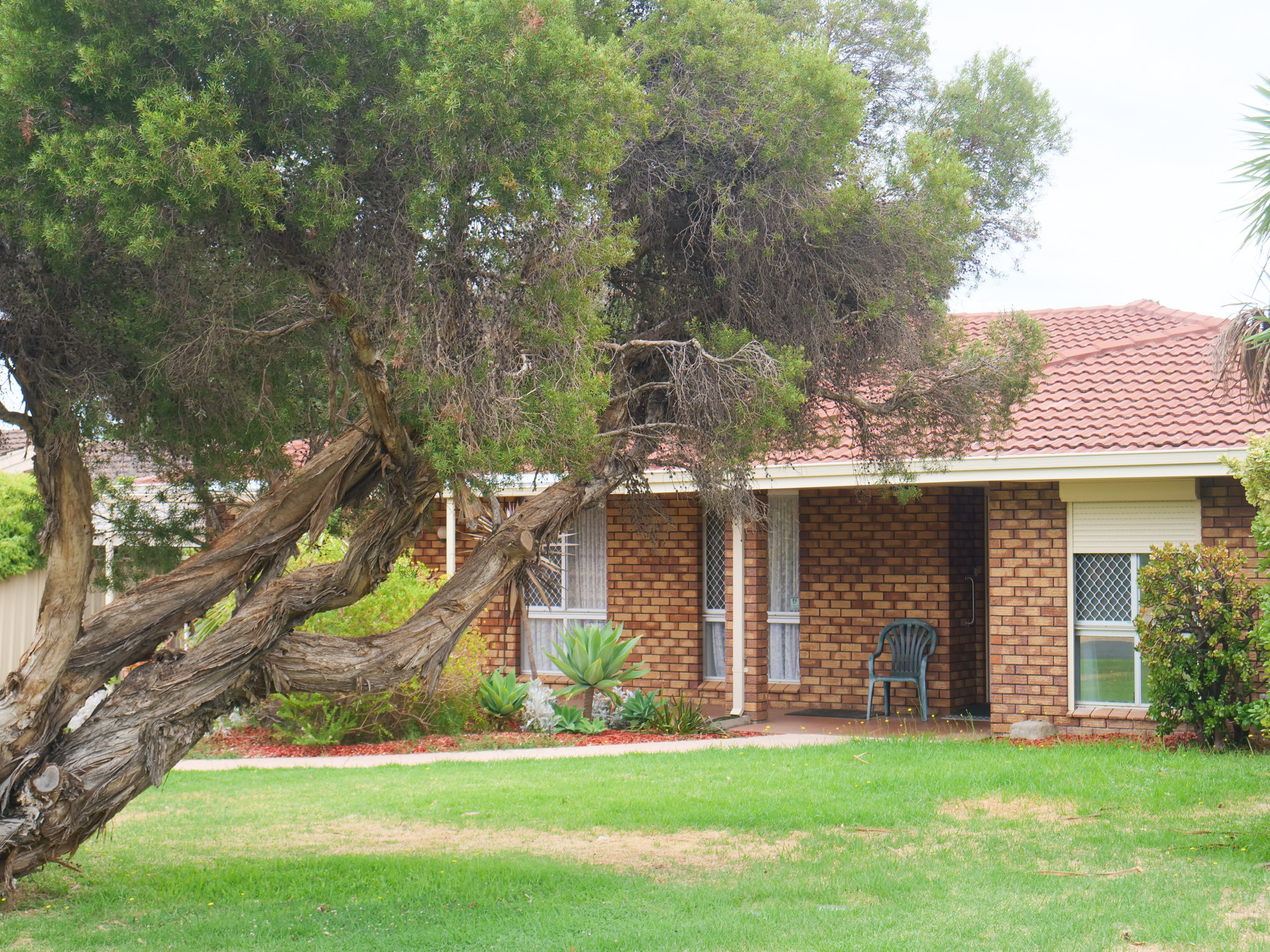 Warm and welcoming in Carey Park in Carey Park