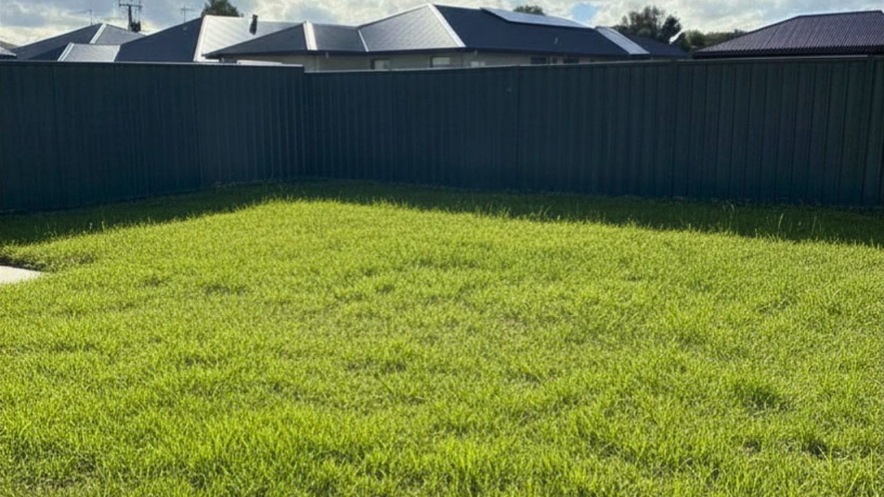Murray Bridge – Robust — Home image 10