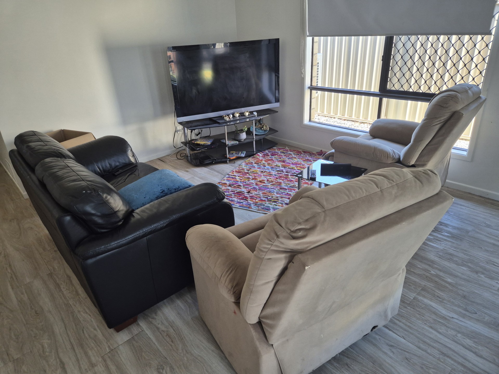 1:3 SIL - Redland Bay, QLD - Female — Home image 4