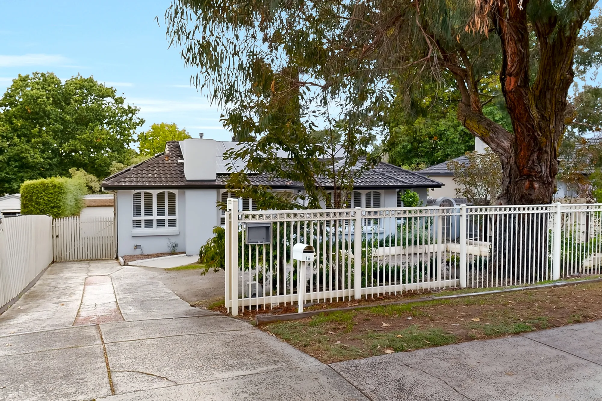Beautiful Accessible SIL Home in Croydon - MTA Available in Croydon North