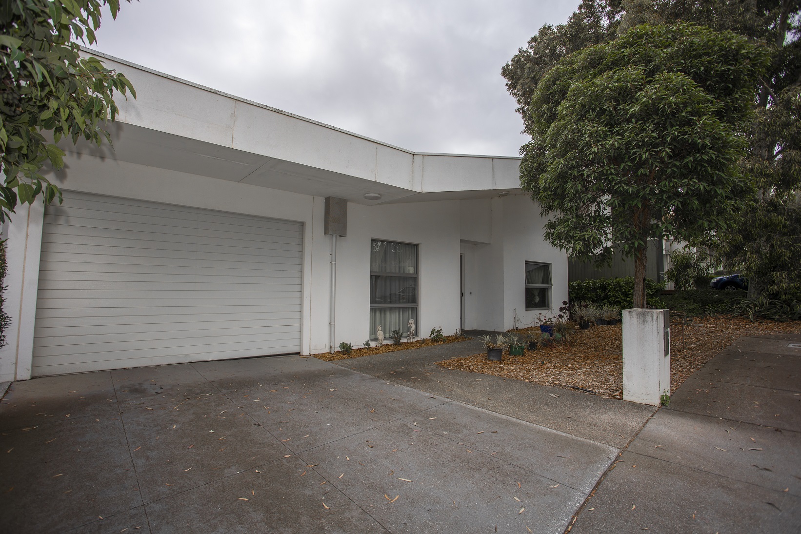 Welcoming home in Kew, in Melbourne's inner East — Home image 12