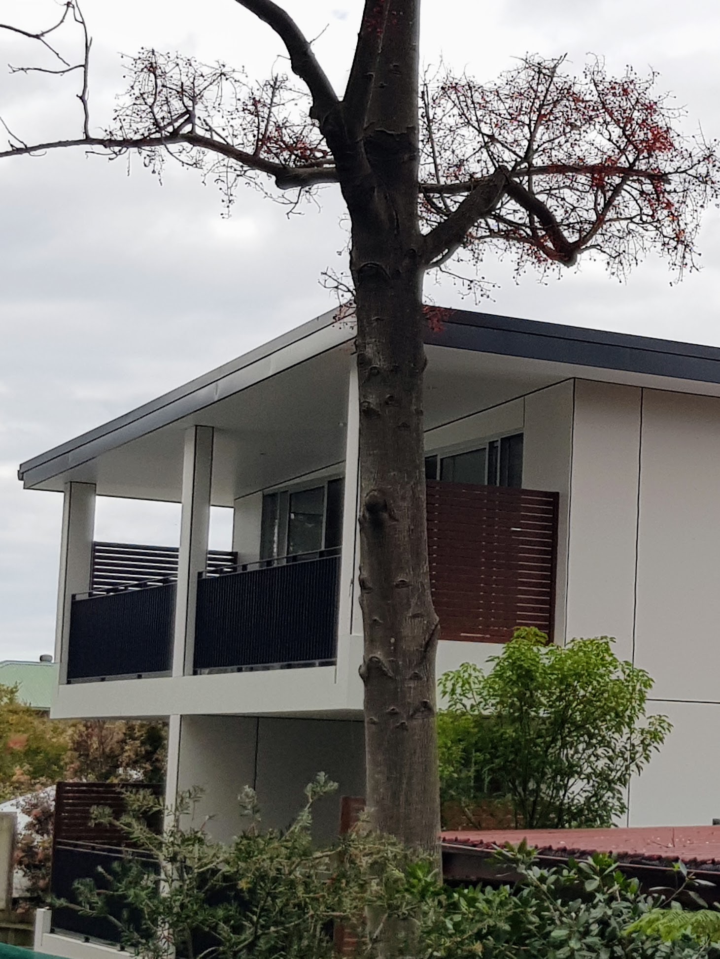 New Modern SDA Property on Northern Beaches - Now Completed - Register Now — Home image 5