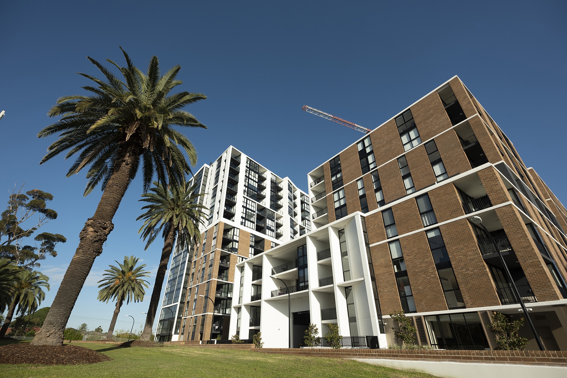 Westmead – 7 Maple Tree Rd in Westmead